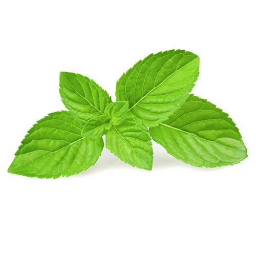 herb extracts herb extracts
