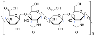 hyaluronic acid