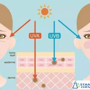 UV Filter