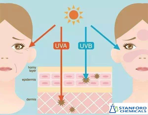 UV Filter