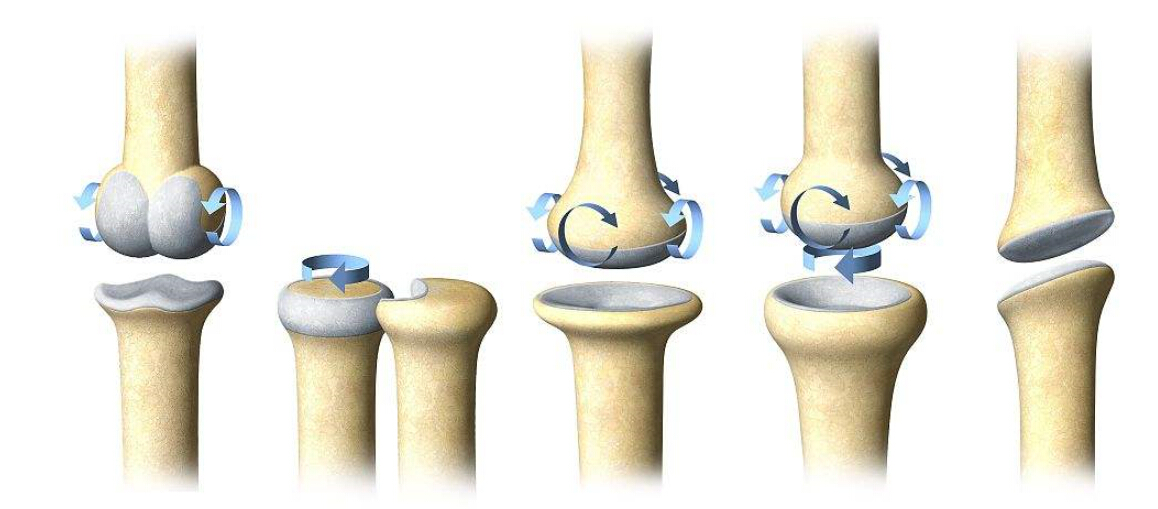 Osteoarthritis treatment