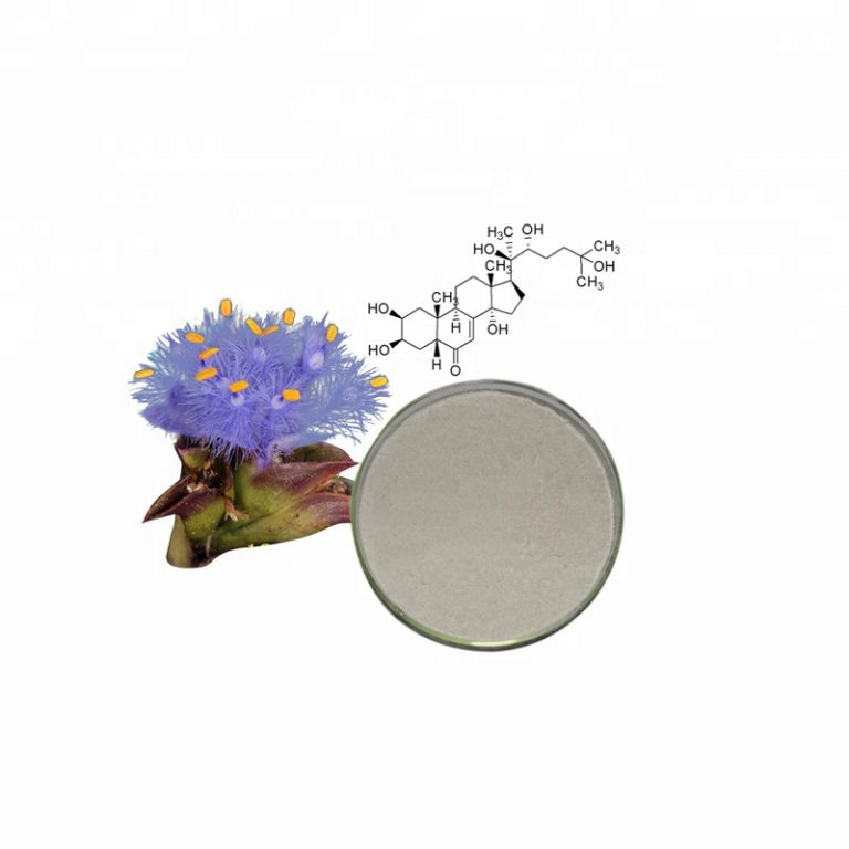 Cyanotis Arachnoidea Extract / Ecdysterone Stanford Chemicals