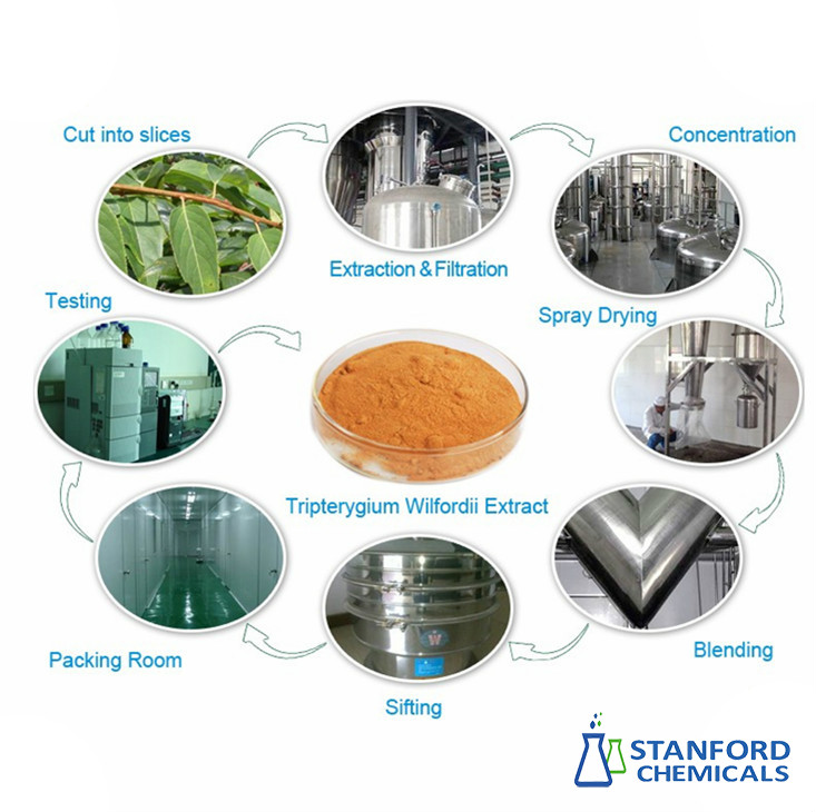 triptolide powder process