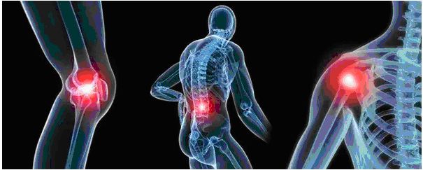 chondroitin sulfate for joint