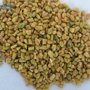 fenugreek extract