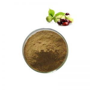 Horse Chestnut Extract-Aescin