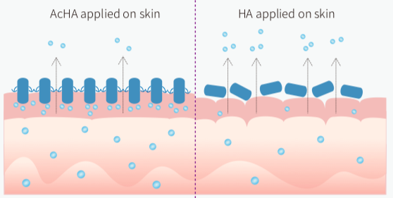 Sodium hyaluronate outlet in skin care
