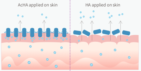 sodium hyaluronate for skin