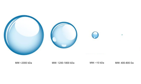 High VS. Low Molecular Weight Hyaluronic Acid