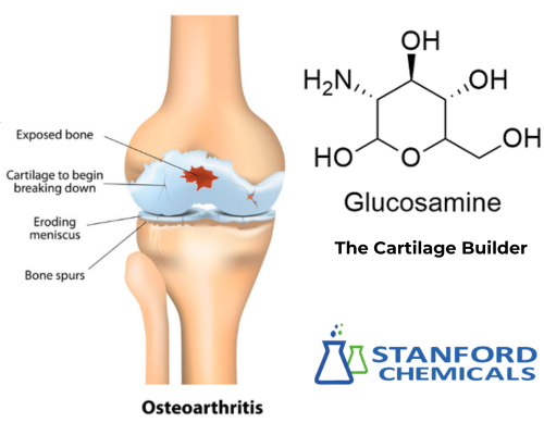 Glucosamine relieves osteoarthritis of the knee