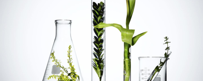 Natural Ingredients vs. Chemical Ingredients in Skincare Products: Which Is Safer