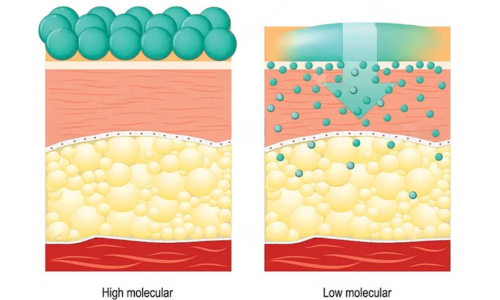 High vs. Low Molecular Weight Hyaluronic Acid: Anti-Inflammatory or Pro-Inflammatory