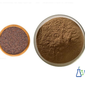 Broccoli Seed Extract Powder