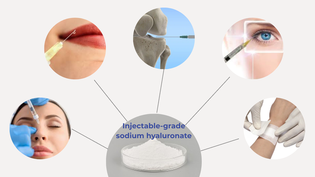 Injectable-grade sodium hyaluronate applications