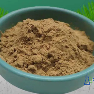 Olive Leaf Extract Powder