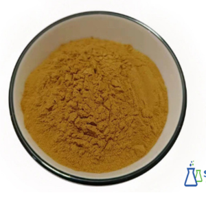 Rosemary Extract Powder