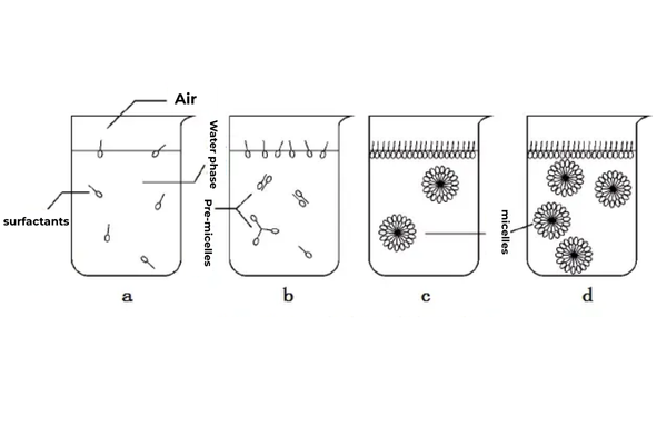 Micelle Formation