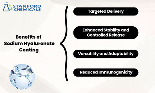 What Value Does Sodium Hyaluronate Coating Offer for Drug Delivery
