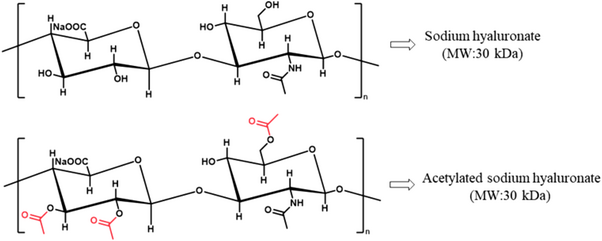 Sodium Hyaluronate Coating for Drug Delivery