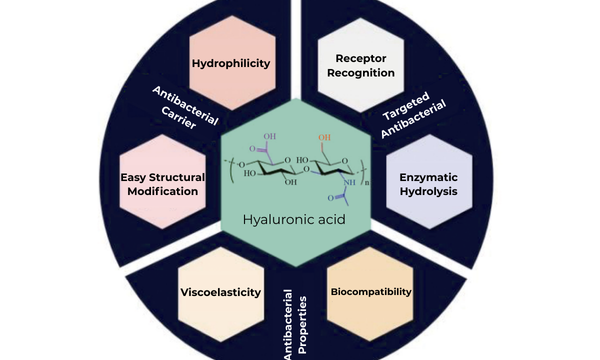 The Antibacterial Properties and Applications of Hyaluronic Acid
