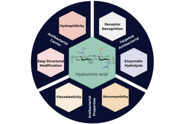 Antibacterial Properties of Hyaluronic Acid
