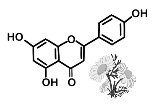 Apigenin benefits