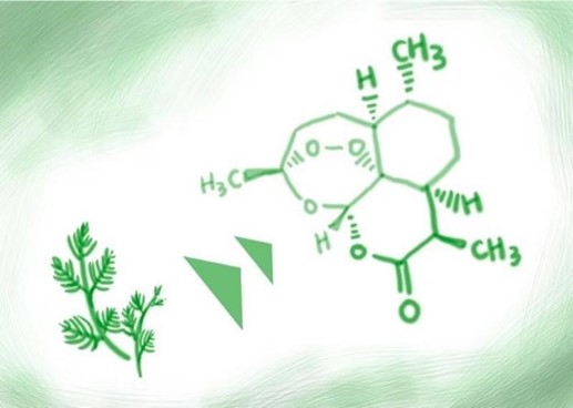 Artemisinin benefits