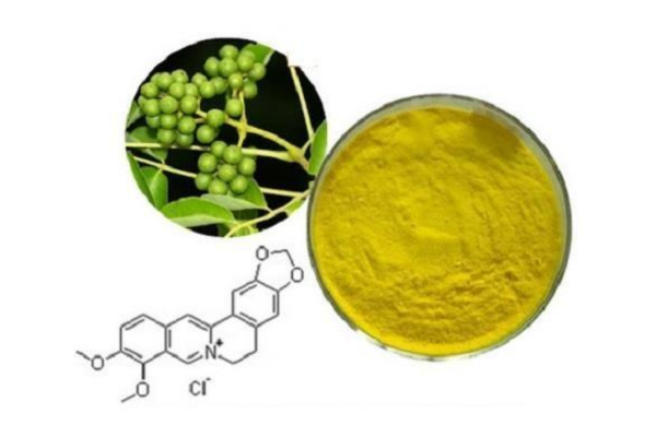 Berberine benefits