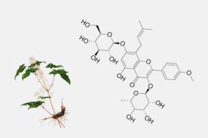 Icariin benefits