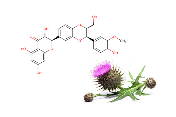 Silibinin benefits