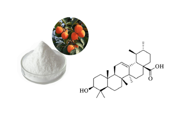 Ursolic Acid benefits