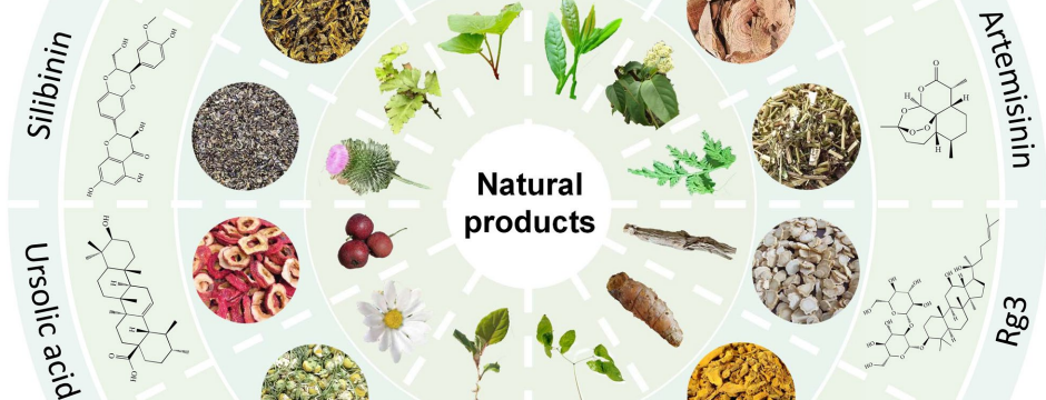 12 Natural Herbal Extracts That Fight Cancer