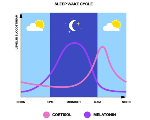 Is Taking Melatonin Useful for Frequent Sleeplessness