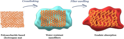 Electrospun Fiber Membranes