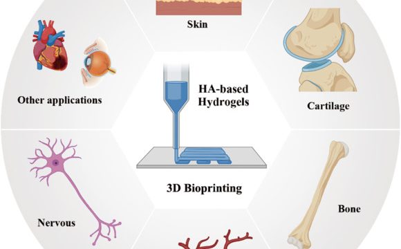 Hyaluronic acid for 3D bioprinting tissue engineering applications