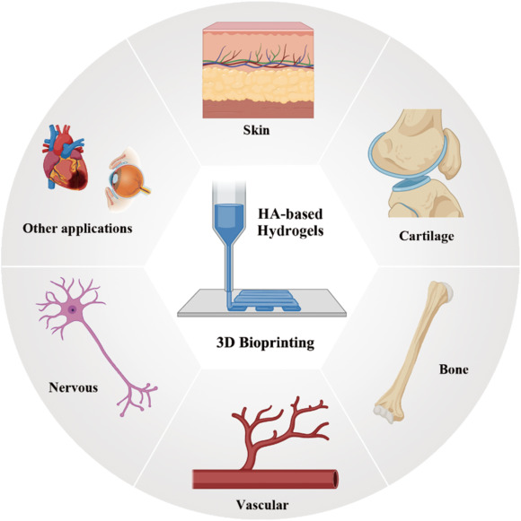 Hyaluronic acid for 3D bioprinting tissue engineering applications