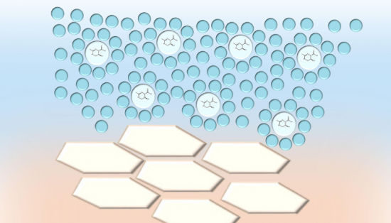 Is Ectoine Better Than Niacinamide