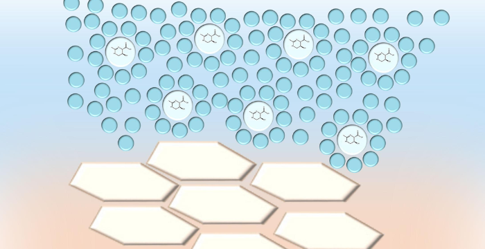 Is Ectoine Better Than Niacinamide