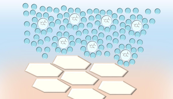 Is Ectoine Better Than Niacinamide