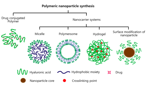 10 Types of Functional Materials Made from Hyaluronic Acid