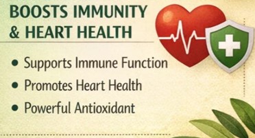 The Benefits of Vitamin E for Health, Skin, Hair and Nail