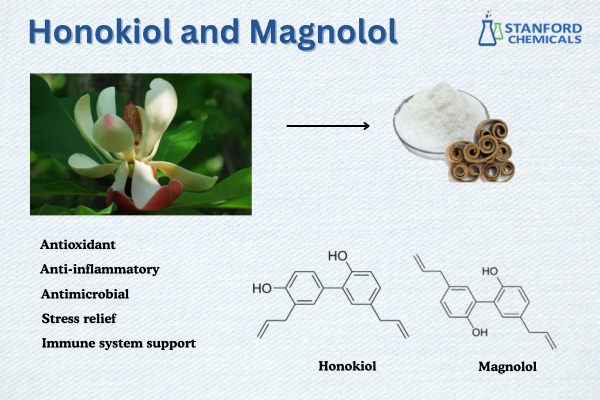 Honokiol and Magnolol: Benefits, Similarities and Differences