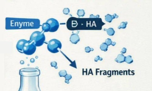 How to Prepare Medium Molecular Weight Hyaluronic Acid