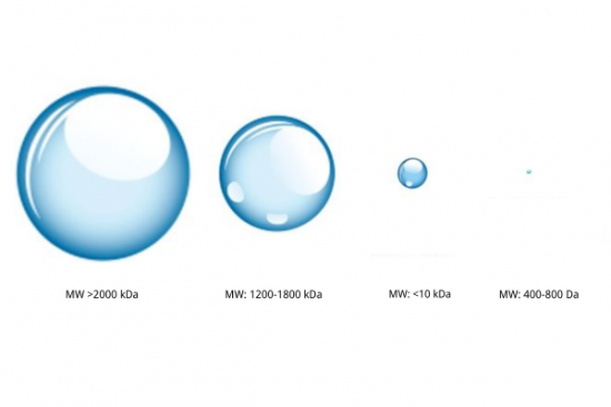 How to Prepare Hyaluronic Acid with Controlled Molecular Weight